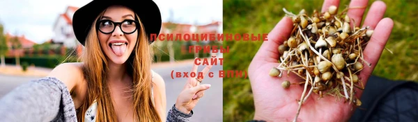 стаф Алзамай