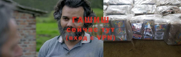 стаф Алзамай