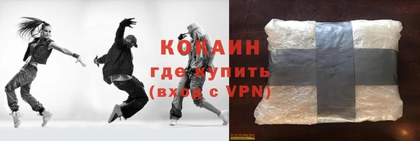 стаф Алзамай