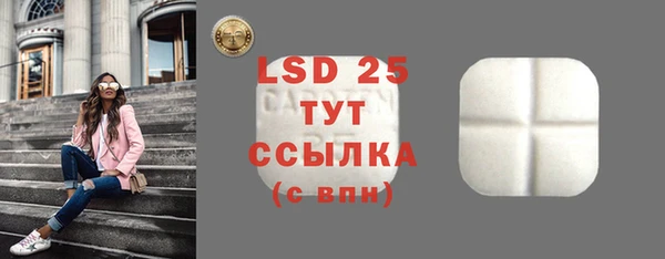 стаф Алзамай