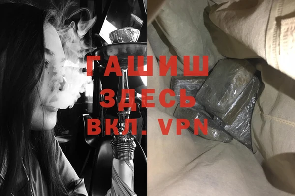 стаф Алзамай
