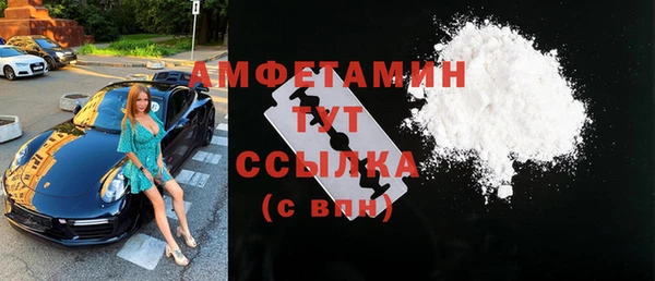 стаф Алзамай