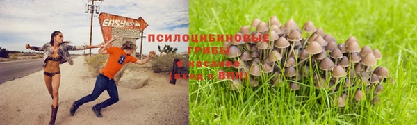 каннабис Алексеевка