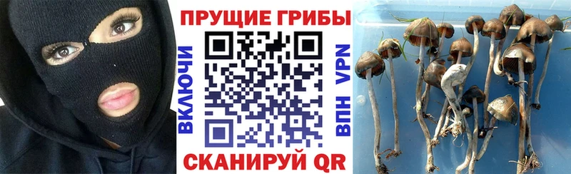 ссылка на мегу онион  купить наркотик  Добрянка  Галлюциногенные грибы Psilocybine cubensis 